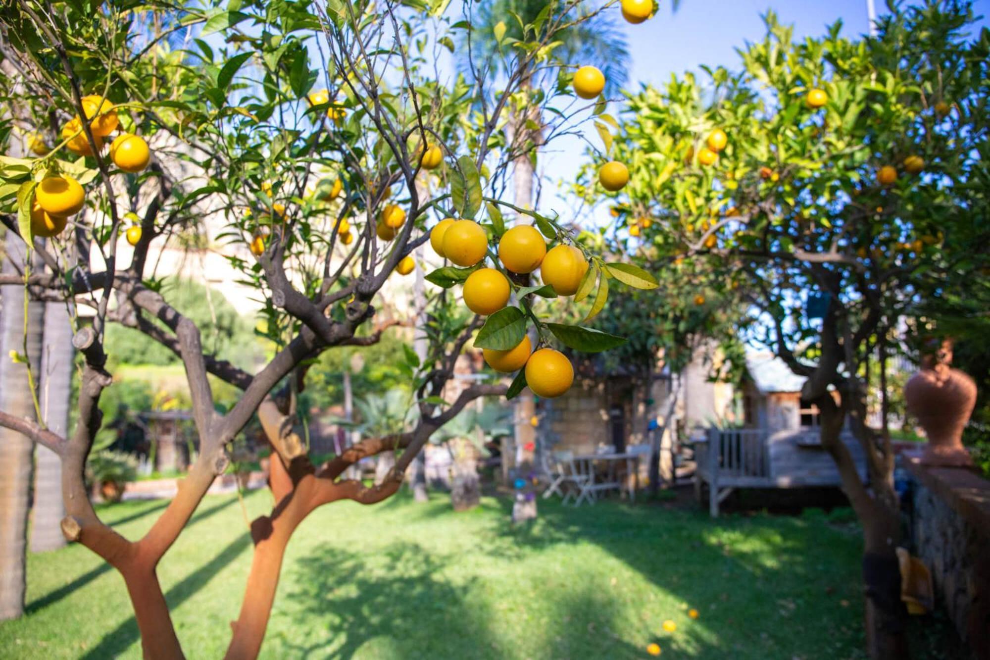 Villa Caterina - Solemar Sicilia Cefalú Exterior foto